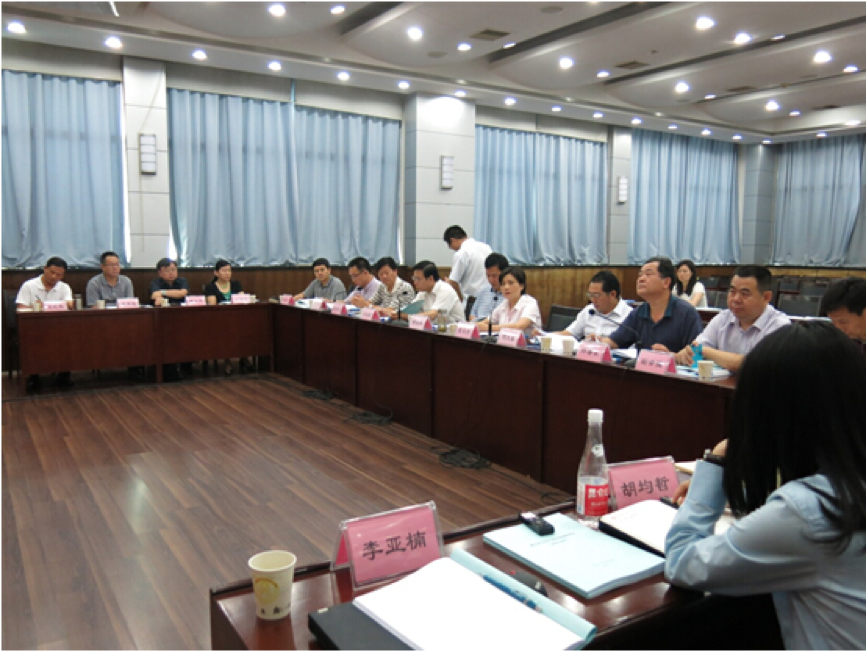 湖北省文化产业发展战略规划课题评审会在武汉召开